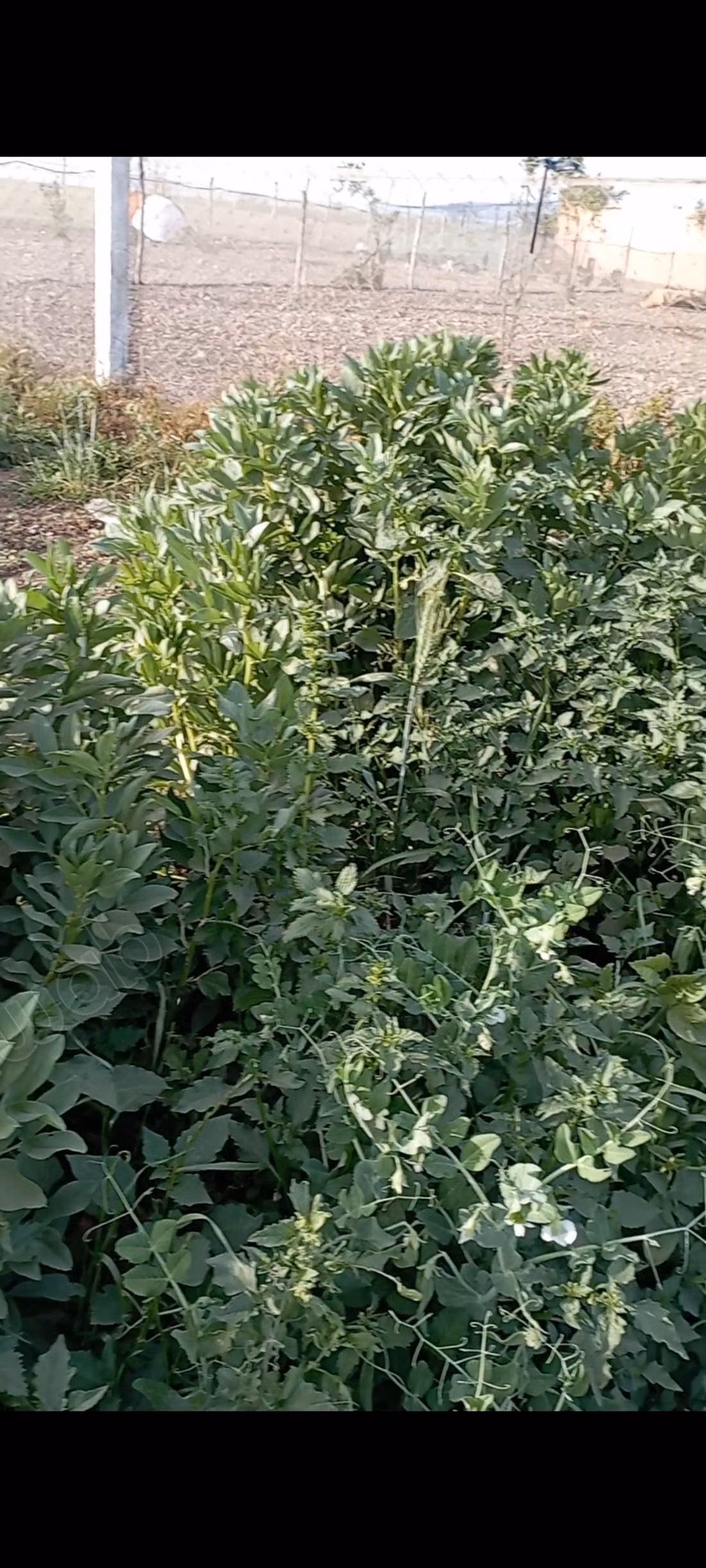 Farm for sale in Oulad Hamdane. Area of 19405 m². Secured residence
