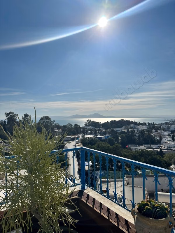 In affitto – Nel cuore del villaggio di Sidi Bou Saïd
