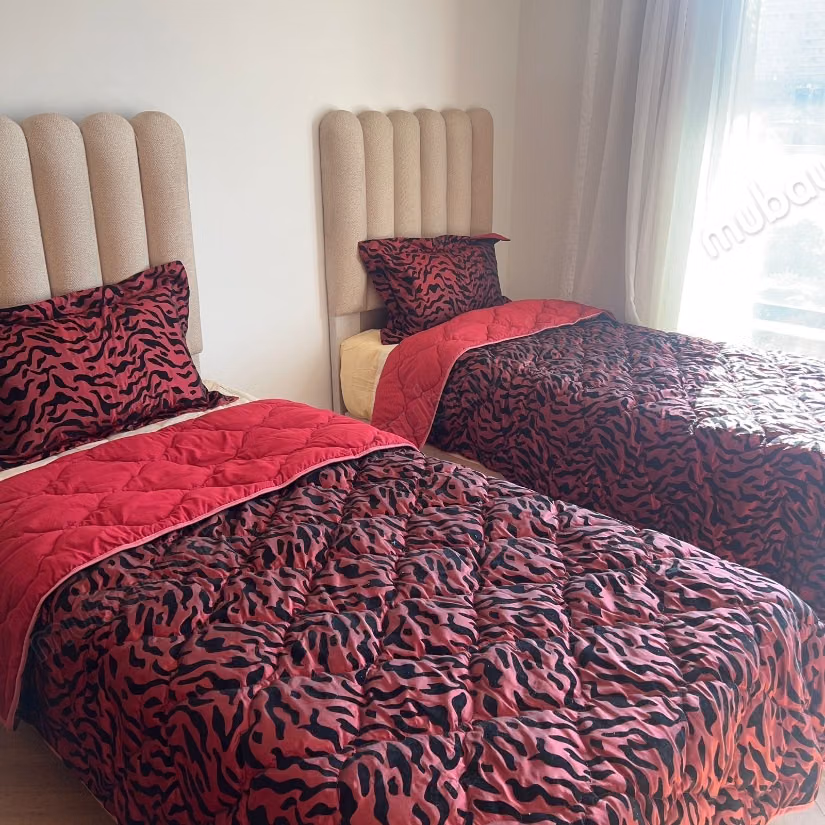Appartement meublé en location a cfc