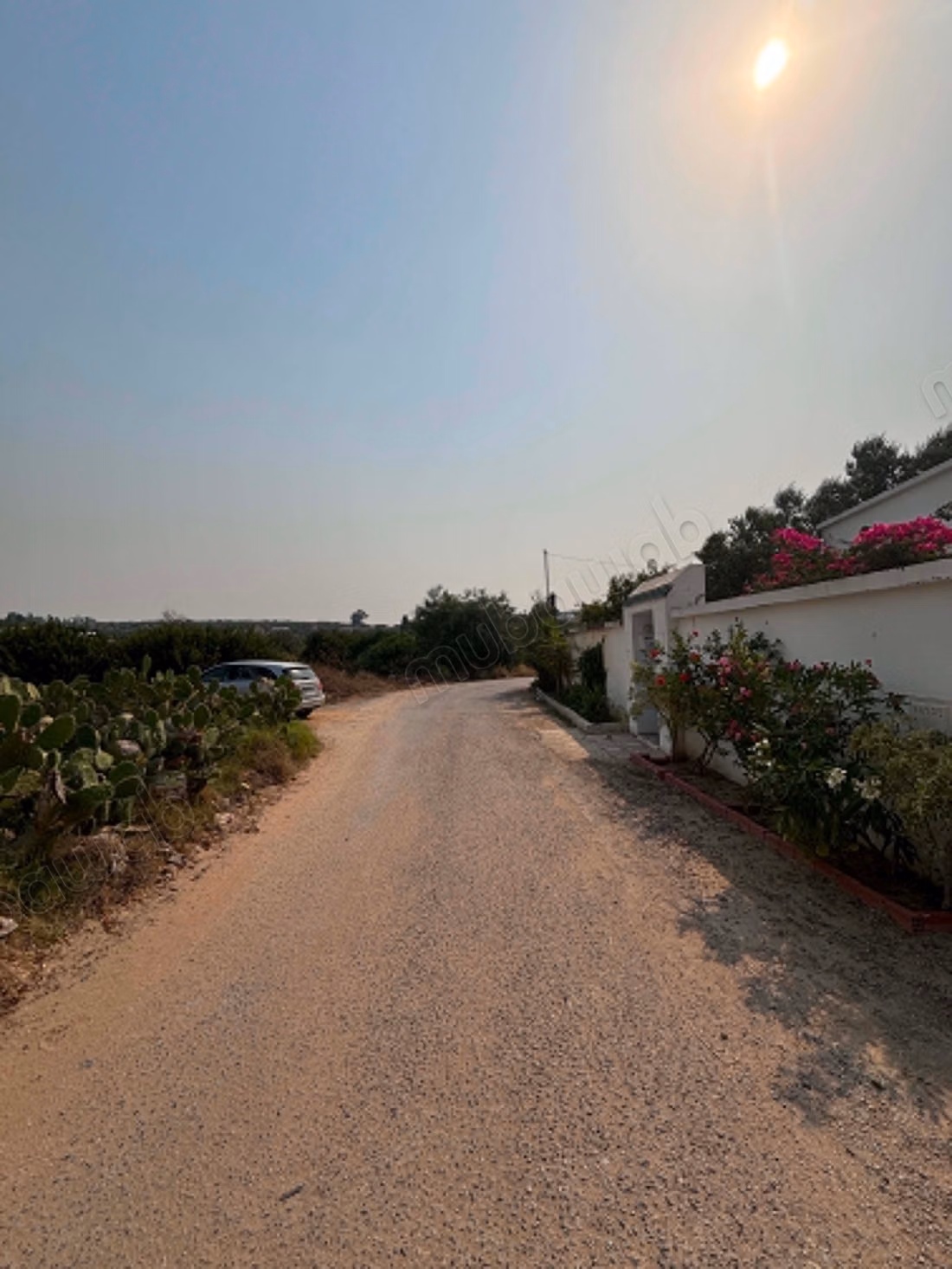 Villa à vendre à Hammamet Oued Lasouad