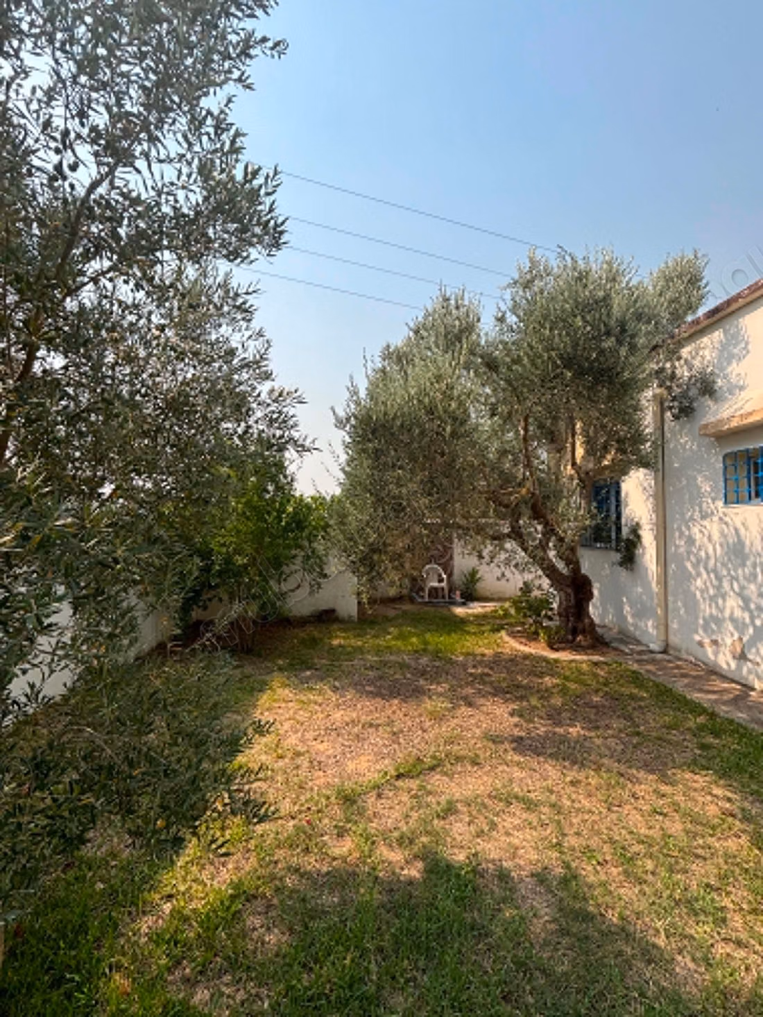 Villa à vendre à Hammamet Oued Lasouad