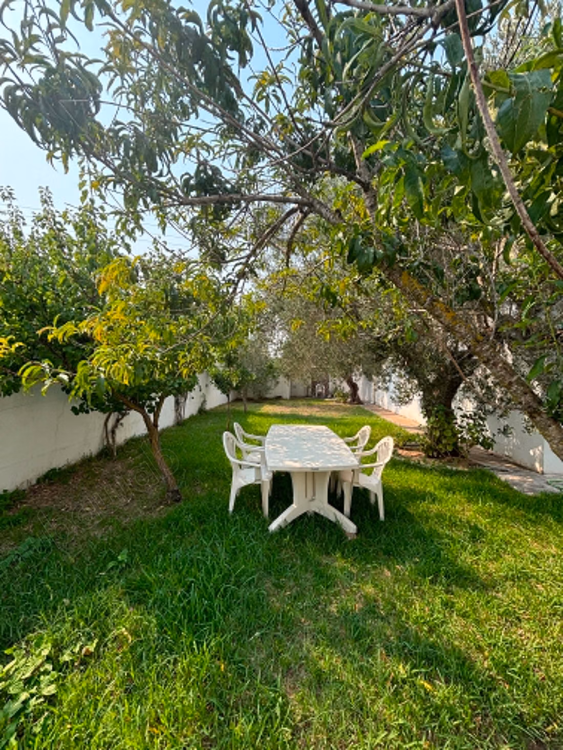 Villa à vendre à Hammamet Oued Lasouad