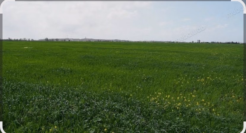 Ferme merveilleuse à vendre à la plage d'Oued Cherrat. Superficie totale 10005 m²