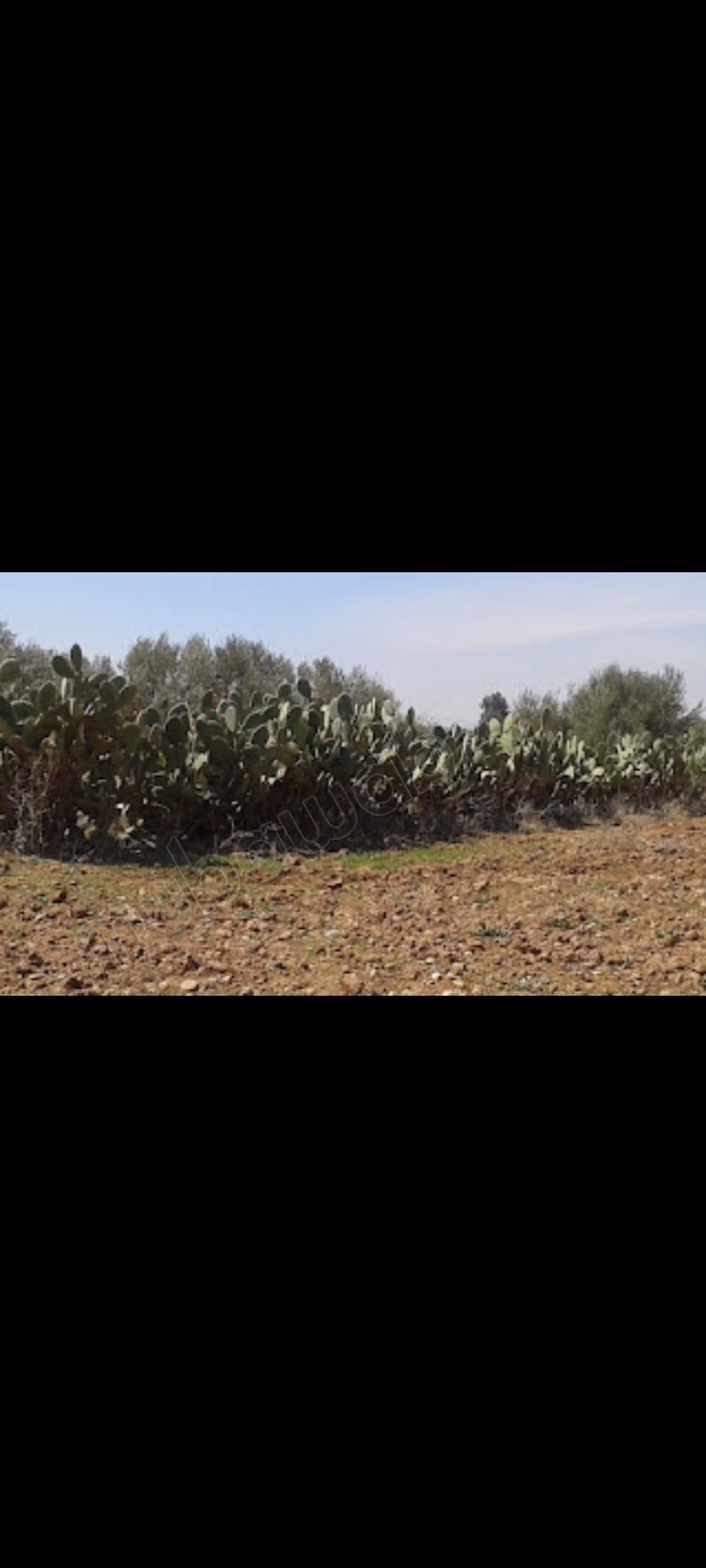 Terreno in vendita ad Ait Ourir. Superficie di 1580 m²