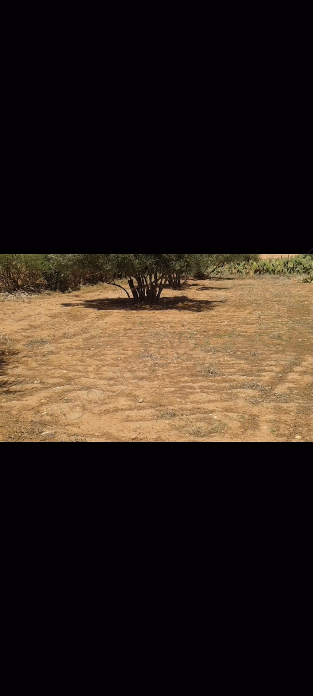 Terreno in vendita ad Ait Ourir. Superficie di 1580 m²