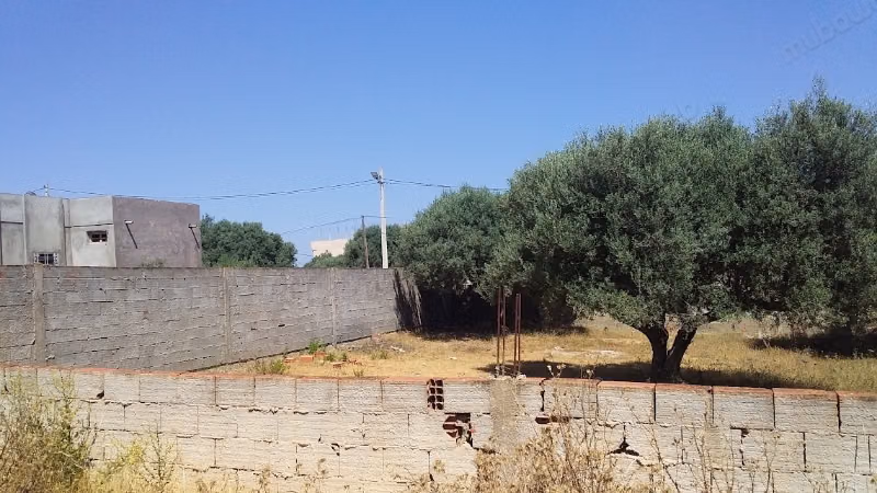 Terrain à Borj Etouil