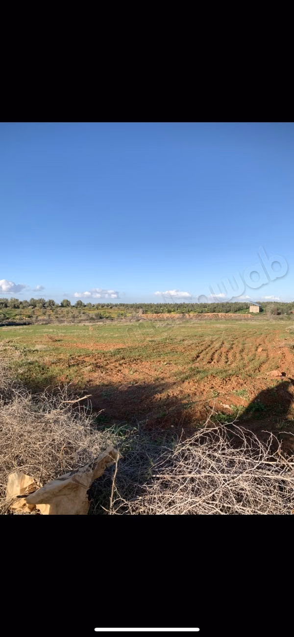 Terreno in vendita sulla Strada di Ourika. Superficie 8000 m²
