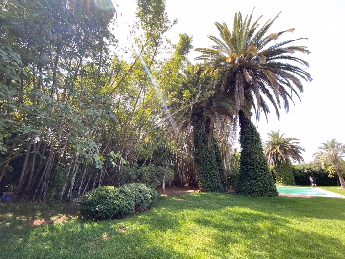 Villa de haut standing à louer à Quartier Des Ambassades. 6 grandes pièces. Belle terrasse et jardin