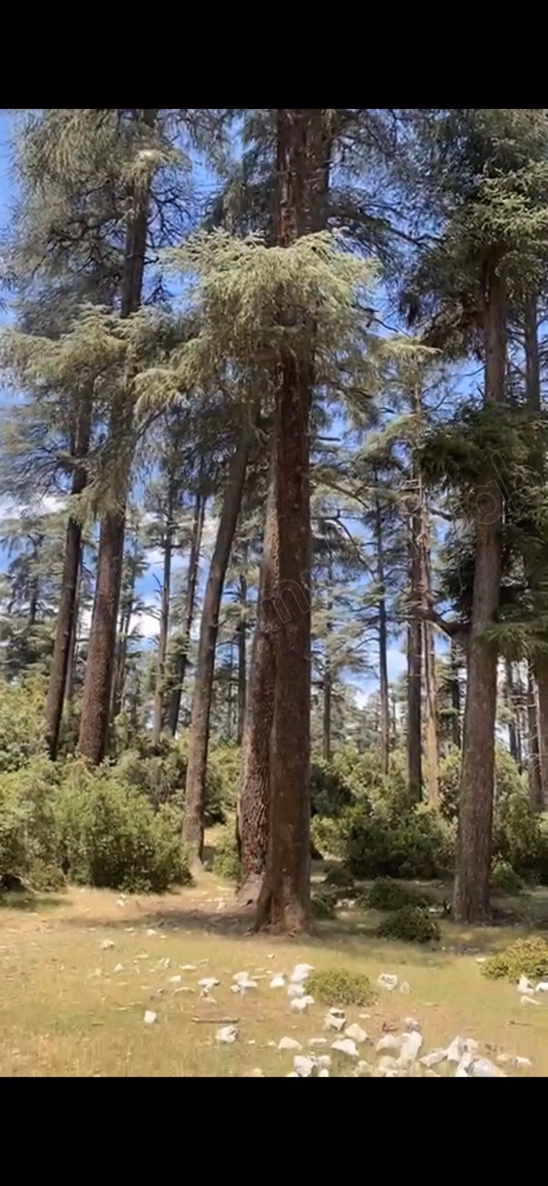 Terrain en vente à Aguelmam Azegza.
Surface totale 280000 m²