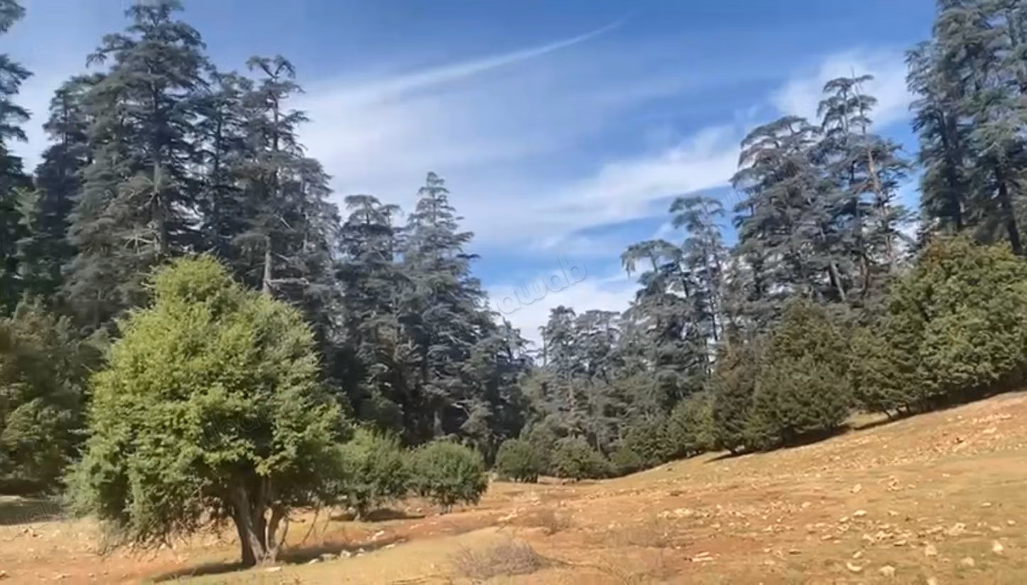 Terrain en vente à Aguelmam Azegza.
Surface totale 280000 m²
