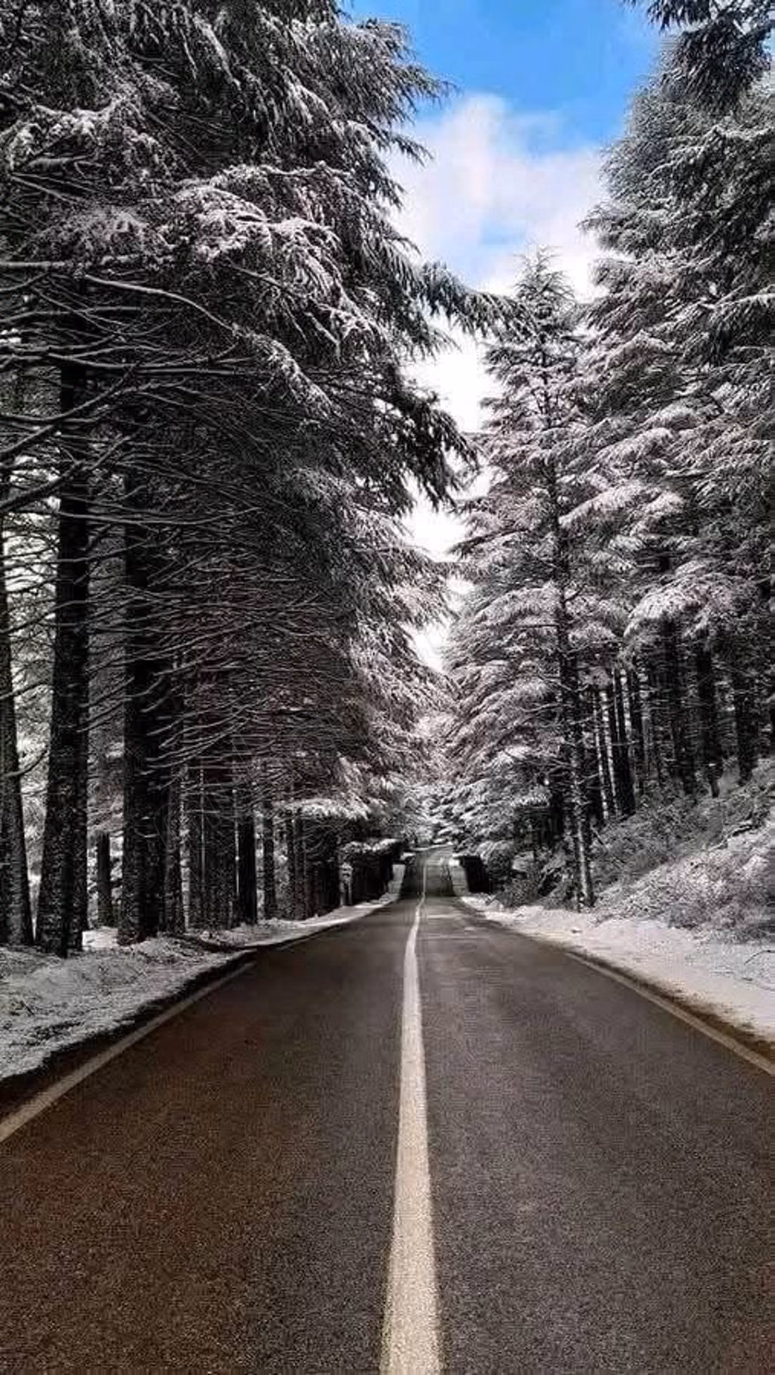 Terrain en vente à Aguelmam Azegza.
Surface totale 280000 m²