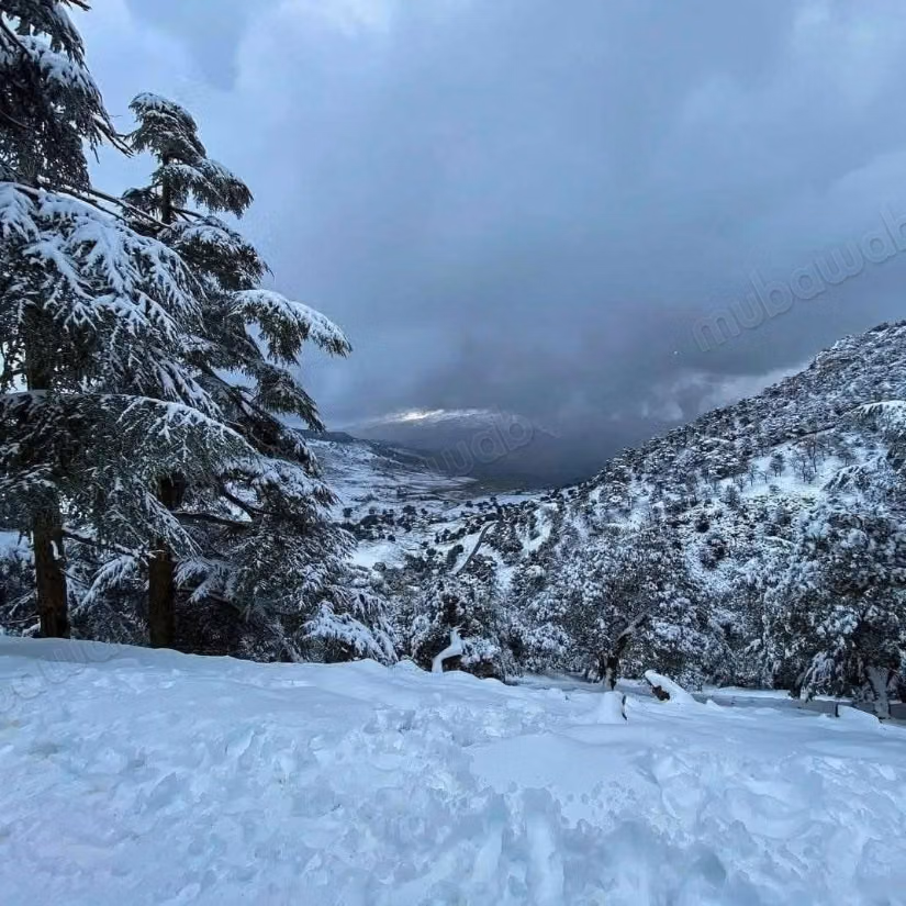 Terrain en vente à Aguelmam Azegza.
Surface totale 280000 m²