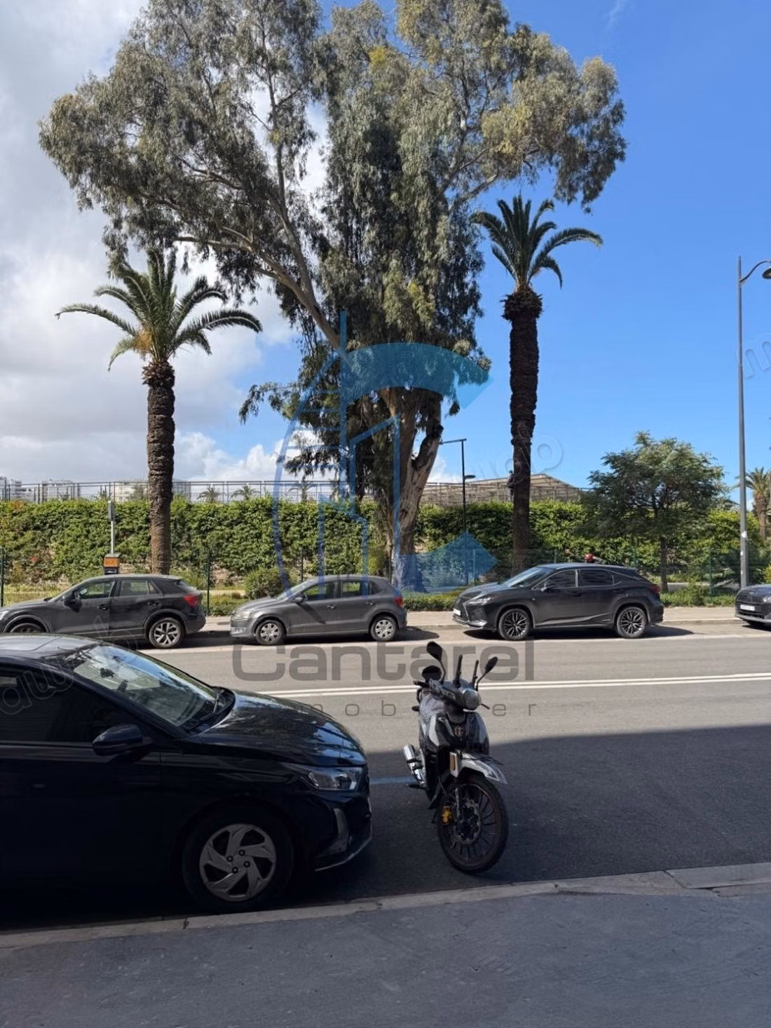 Location appt meublé Racine Casablanca