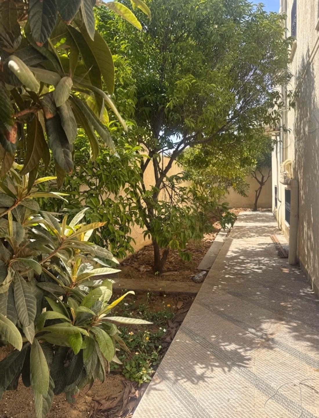 Rez de chaussée de villa s3 indepandant