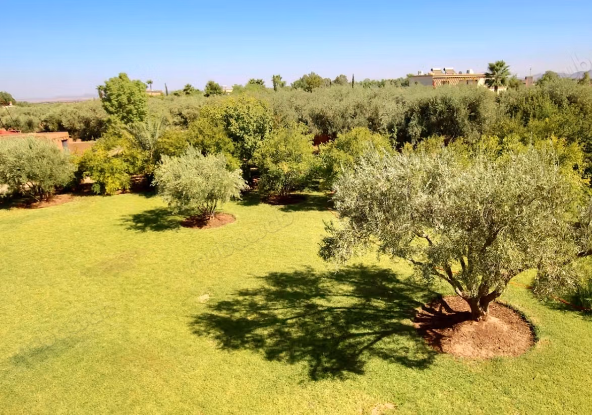 Very beautiful estate of 12000 m2, villa with 4 suites