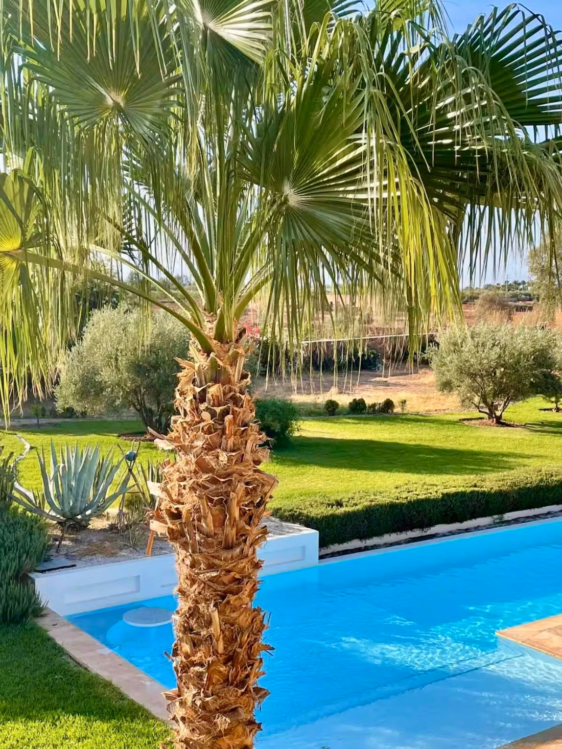 Very beautiful estate of 12000 m2, villa with 4 suites