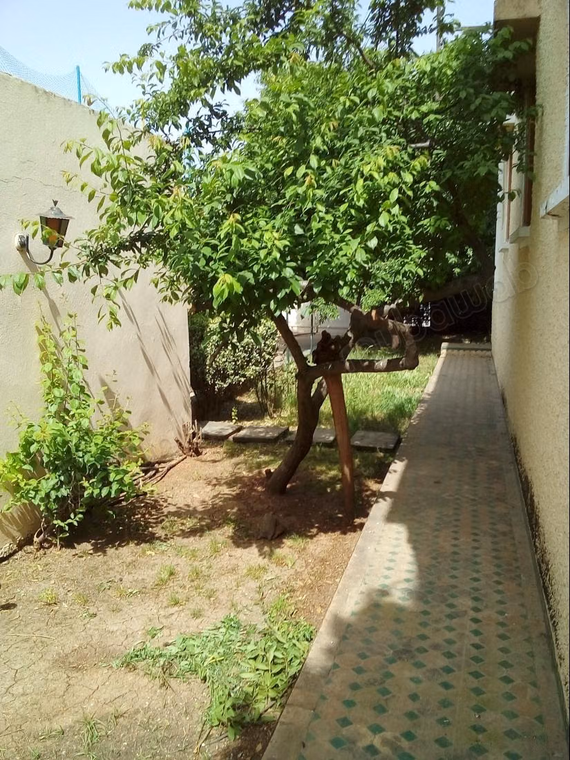 Villasur 783m2 a renovar o reconstruir