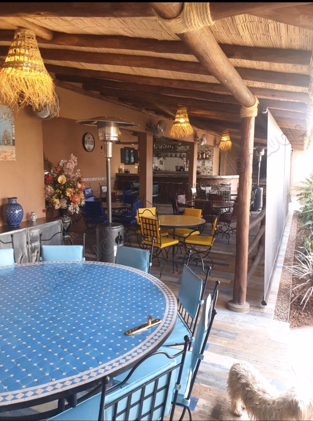 Casa de huéspedes con potencial de desarrollo en 3 hectáreas – 4 bungalows, casa de 3 habitaciones, proyecto de expansión y espacio para autocaravanas