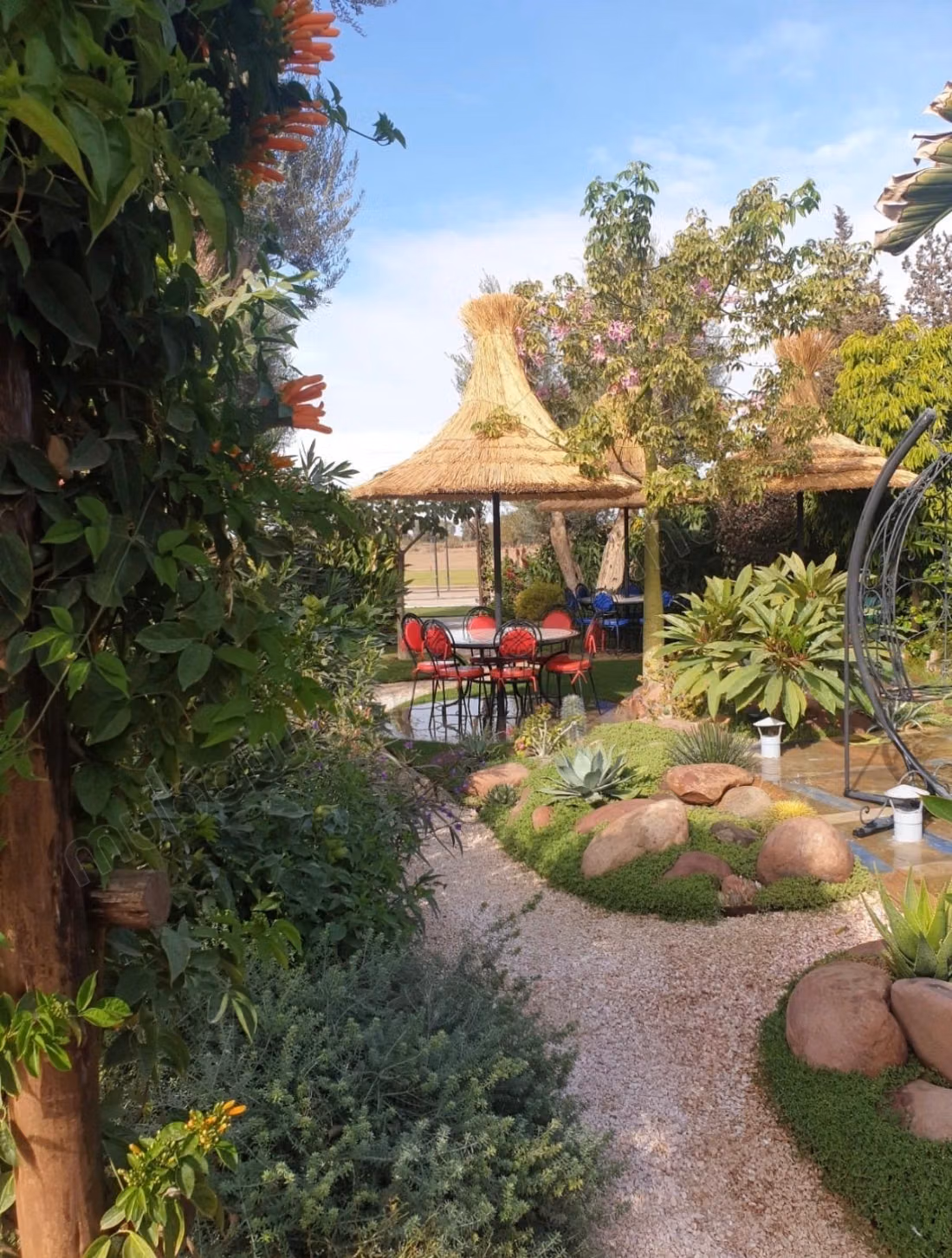 Casa de huéspedes con potencial de desarrollo en 3 hectáreas – 4 bungalows, casa de 3 habitaciones, proyecto de expansión y espacio para autocaravanas