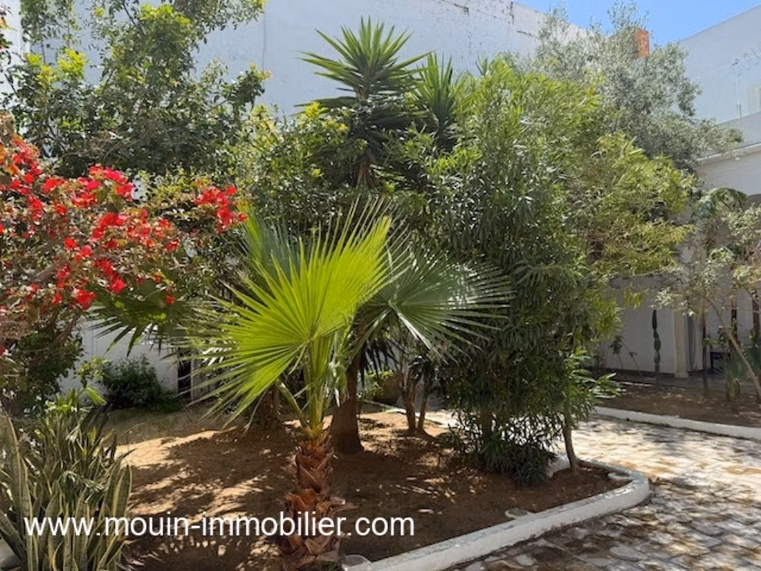 Maison Rare Hammamet