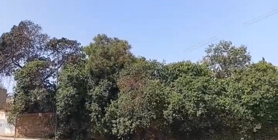 Villa en venta para renovar con vista al mar en Anfa