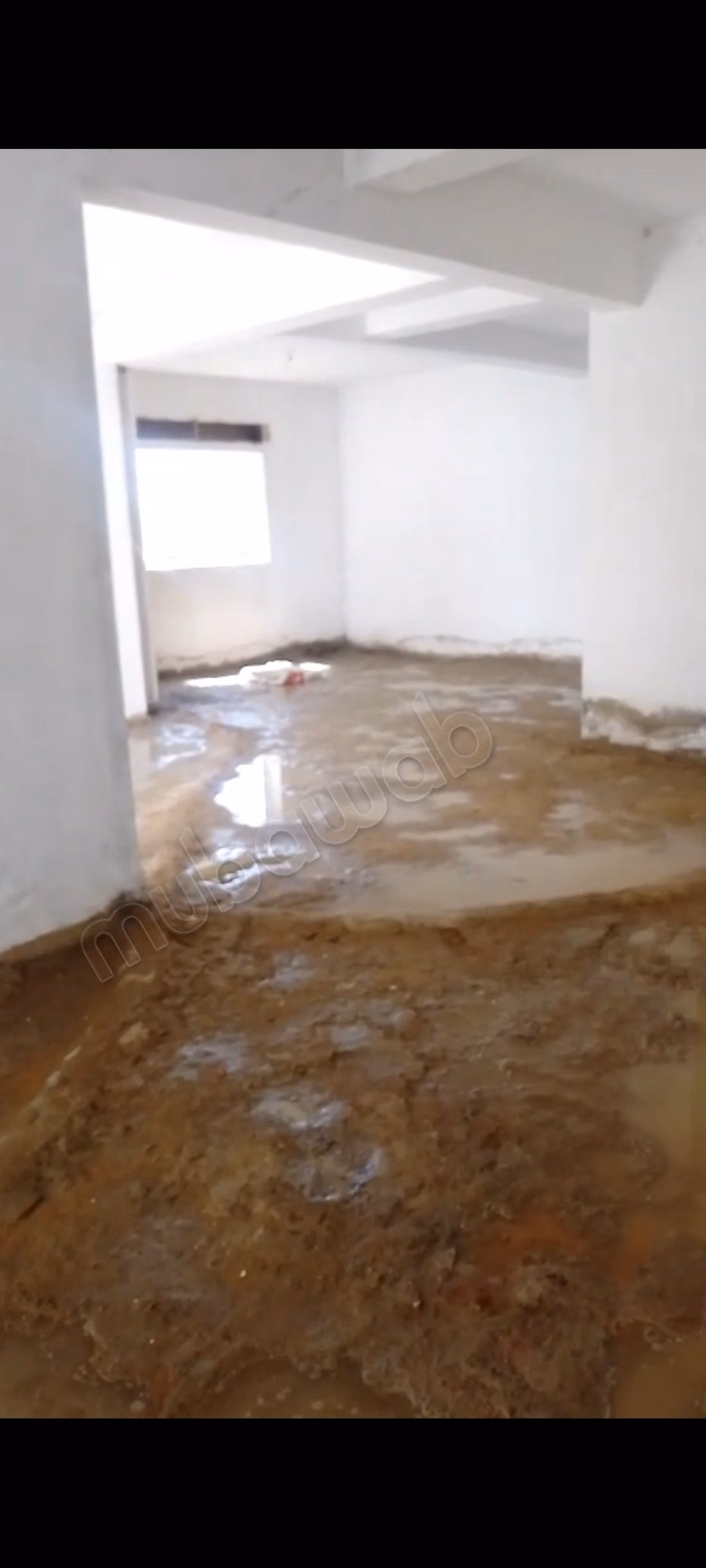 Double commerce 100m 
ibrahim lkhalil