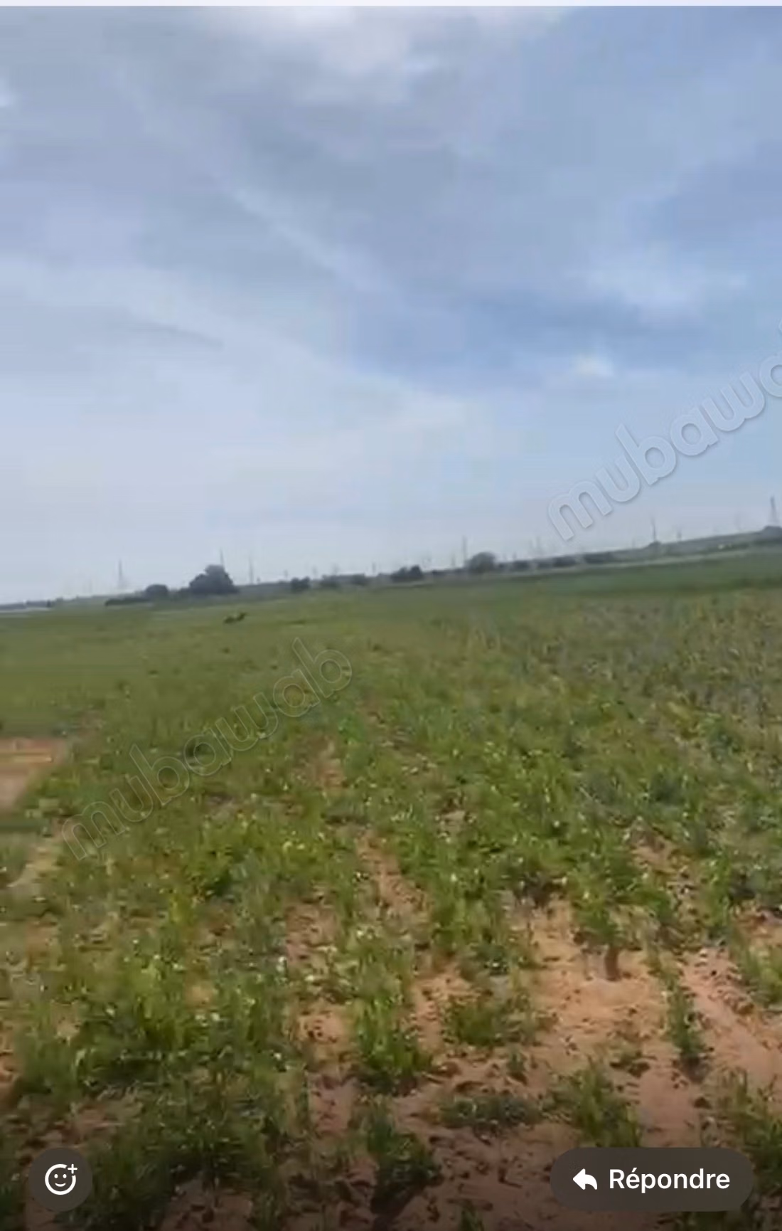 Venta de terreno a 5 km de El Jadida. Superficie 10500 m²