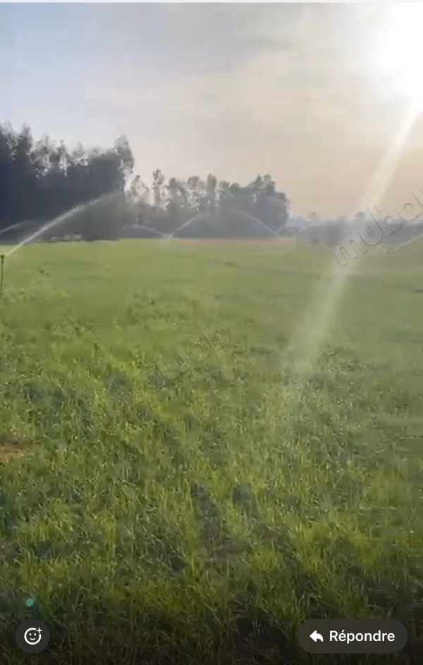Venta de terreno a 5 km de El Jadida. Superficie 10500 m²