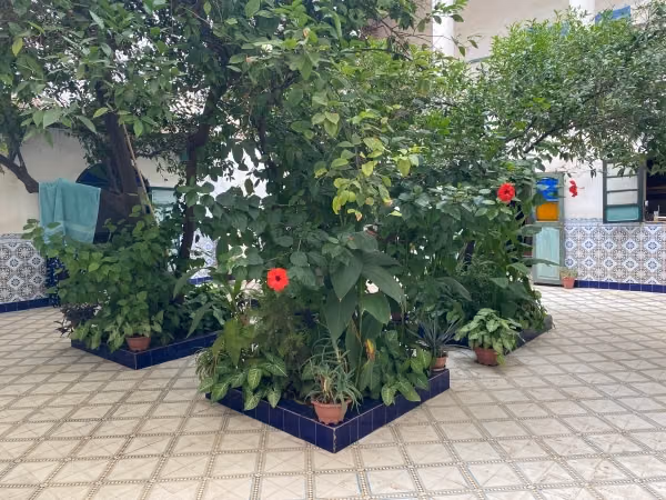 Riad van 297 m² te renoveren – Derb Dabachi