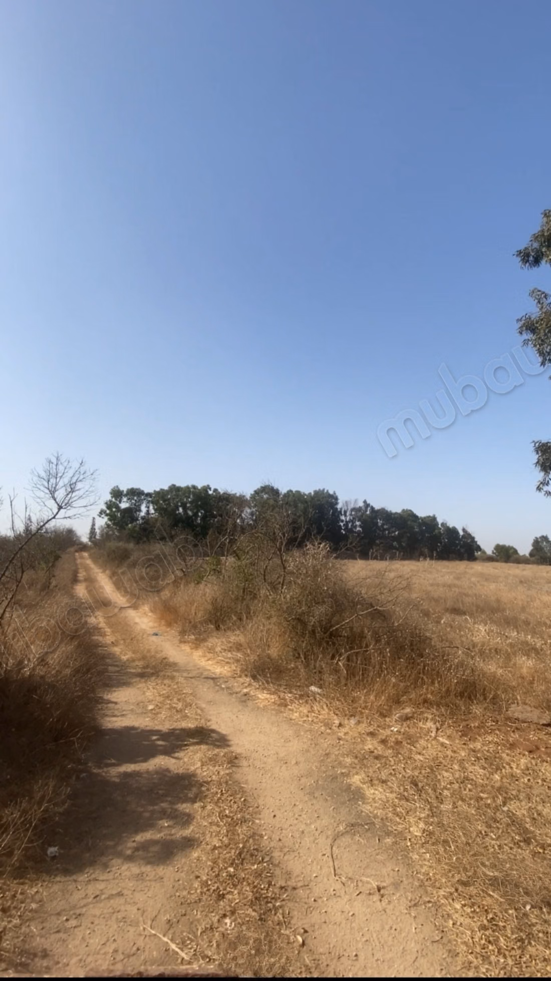 Terreno en venta en la ciudad verde. Área total 29800 m²