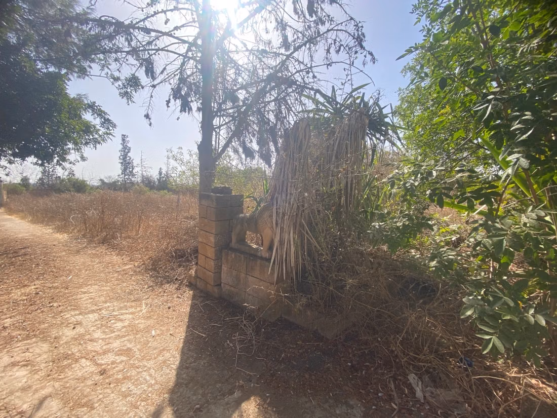 Terreno en venta en la ciudad verde. Área total 29800 m²