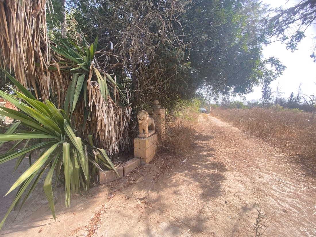 Terreno en venta en la ciudad verde. Área total 29800 m²