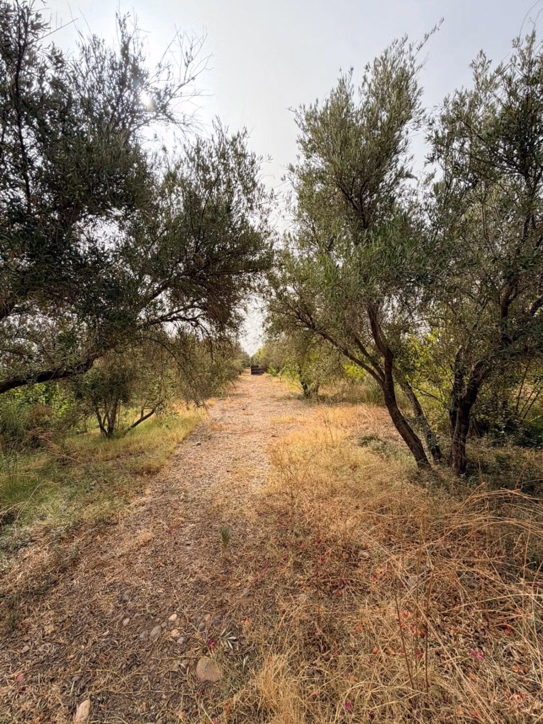 Charmante eigendom 3,5 ha Route de Fes