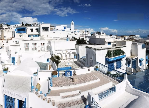 Villa S4 con giardino a Sidi Bou Said