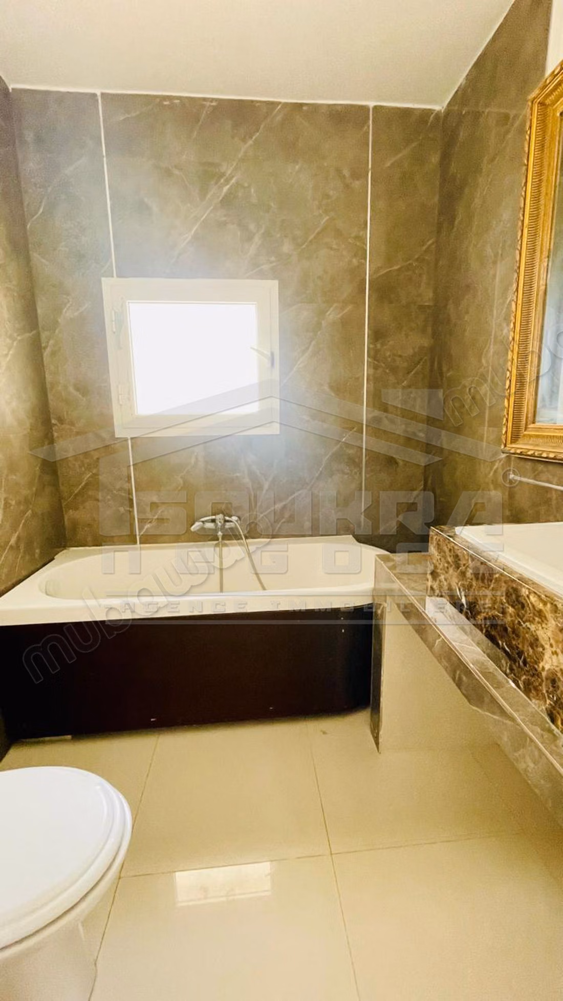 A vendre une belle villa à la Soukra