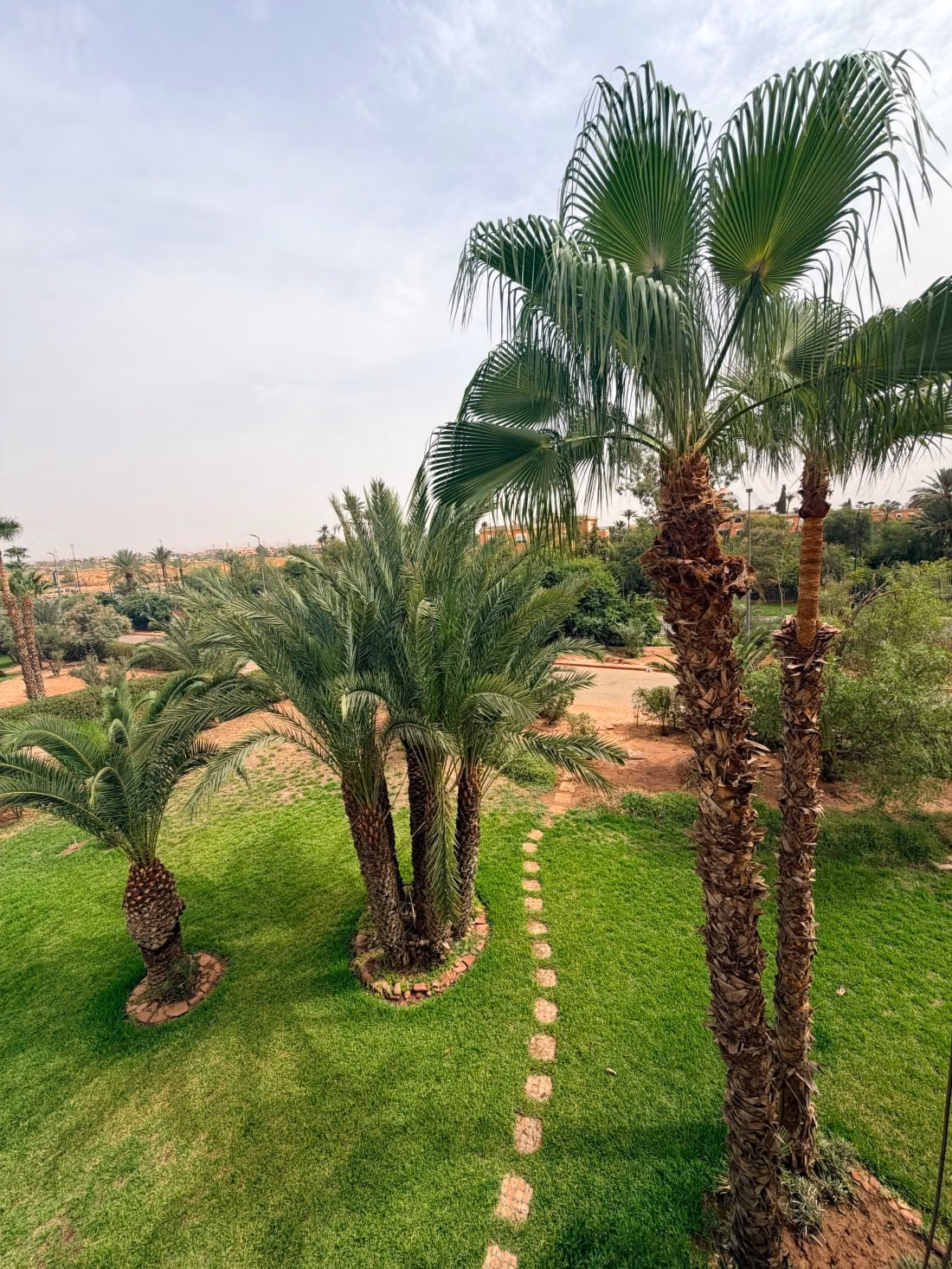 RÉSIDENCE PALMERAIE 1 Appartement meublé 100 m², terrasse vue Atlas