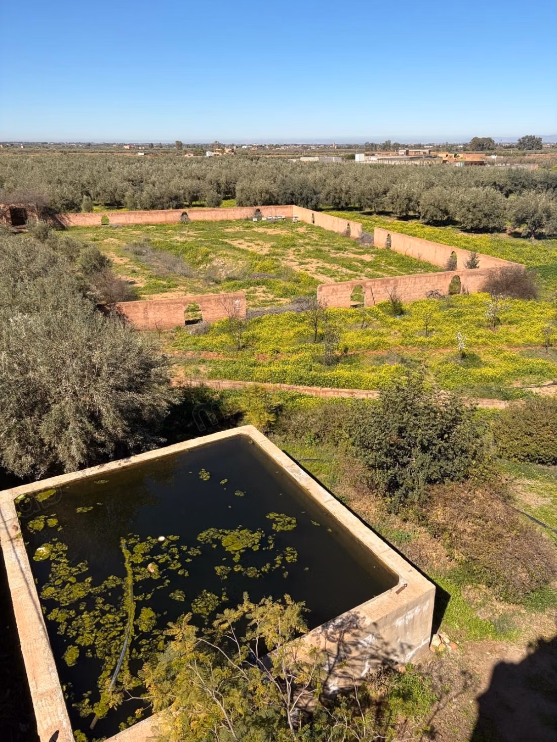 Groot perceel van 2,4 hectare met olijfgaard
