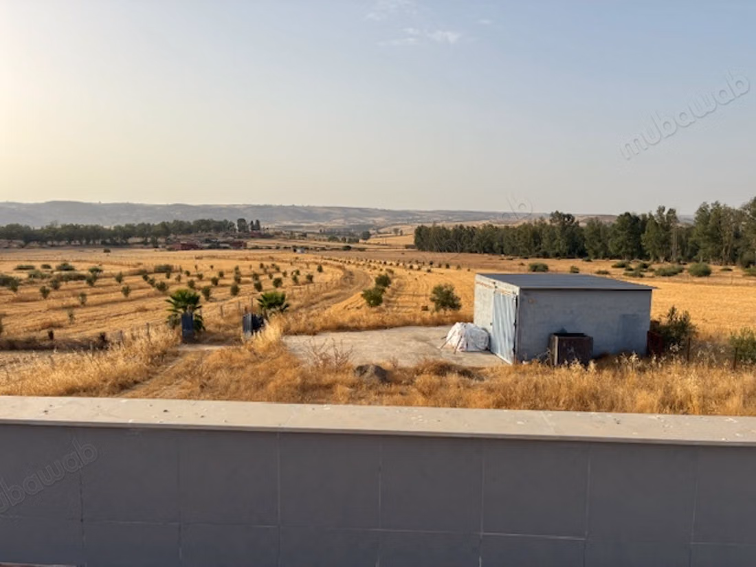 Urgent à vendre ferme région khemisset