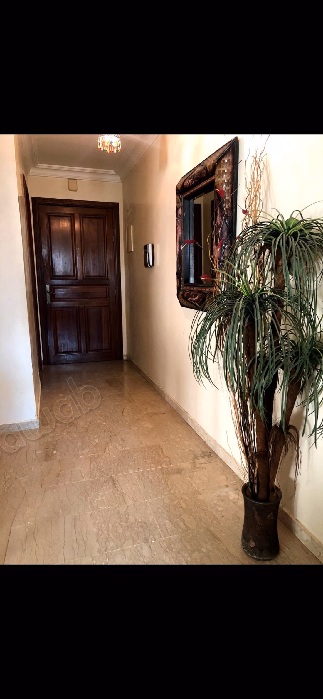 Alquiler de temporada en Belvédère. 1 hermosa habitación. Aparcamiento y terraza