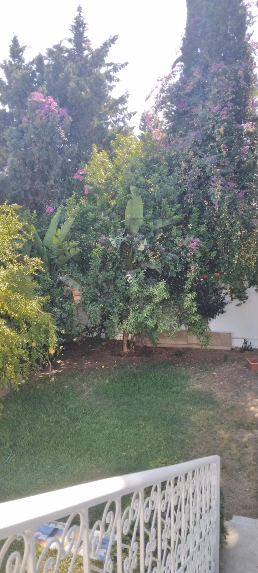 Luxury villa for rent in Gammarth Superior. Area 550 m². Armored door, security
