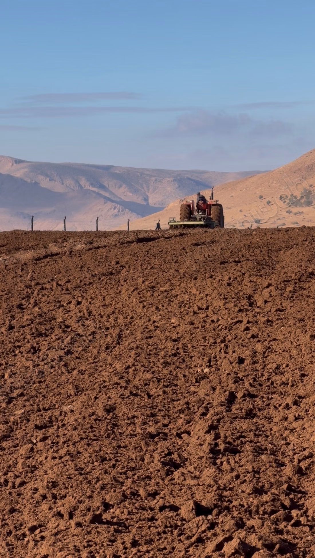 Una fattoria in vendita a Boubhar, a 16 km da Oujda verso awint Serak, una fattoria con recinzione, un pozzo con acqua abbondante, stalle costruite con bambù.