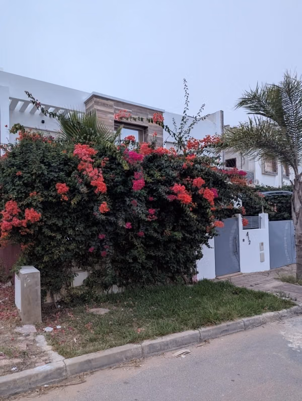 Magnificent villa for sale in El Hadadda. Area 250 m². Equipped kitchen
