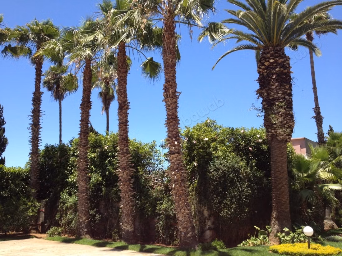Villa de excepción a la venta – Souissi, Rabat