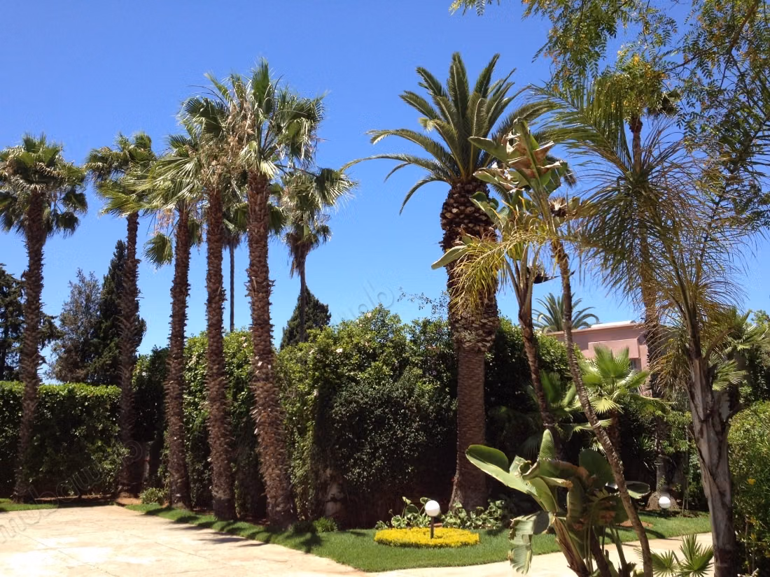 Villa de excepción a la venta – Souissi, Rabat