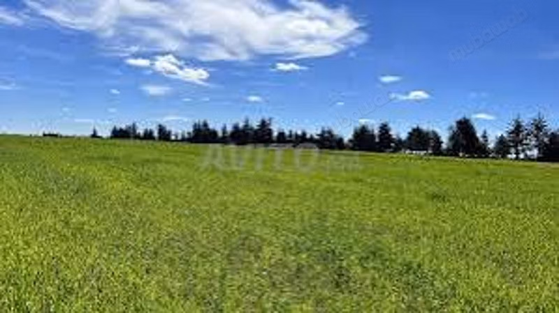 Terreno in vendita a Californie. Superficie 4130 m²