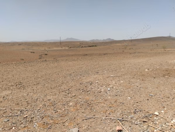 6,5 hectares titré avec prix incroyable