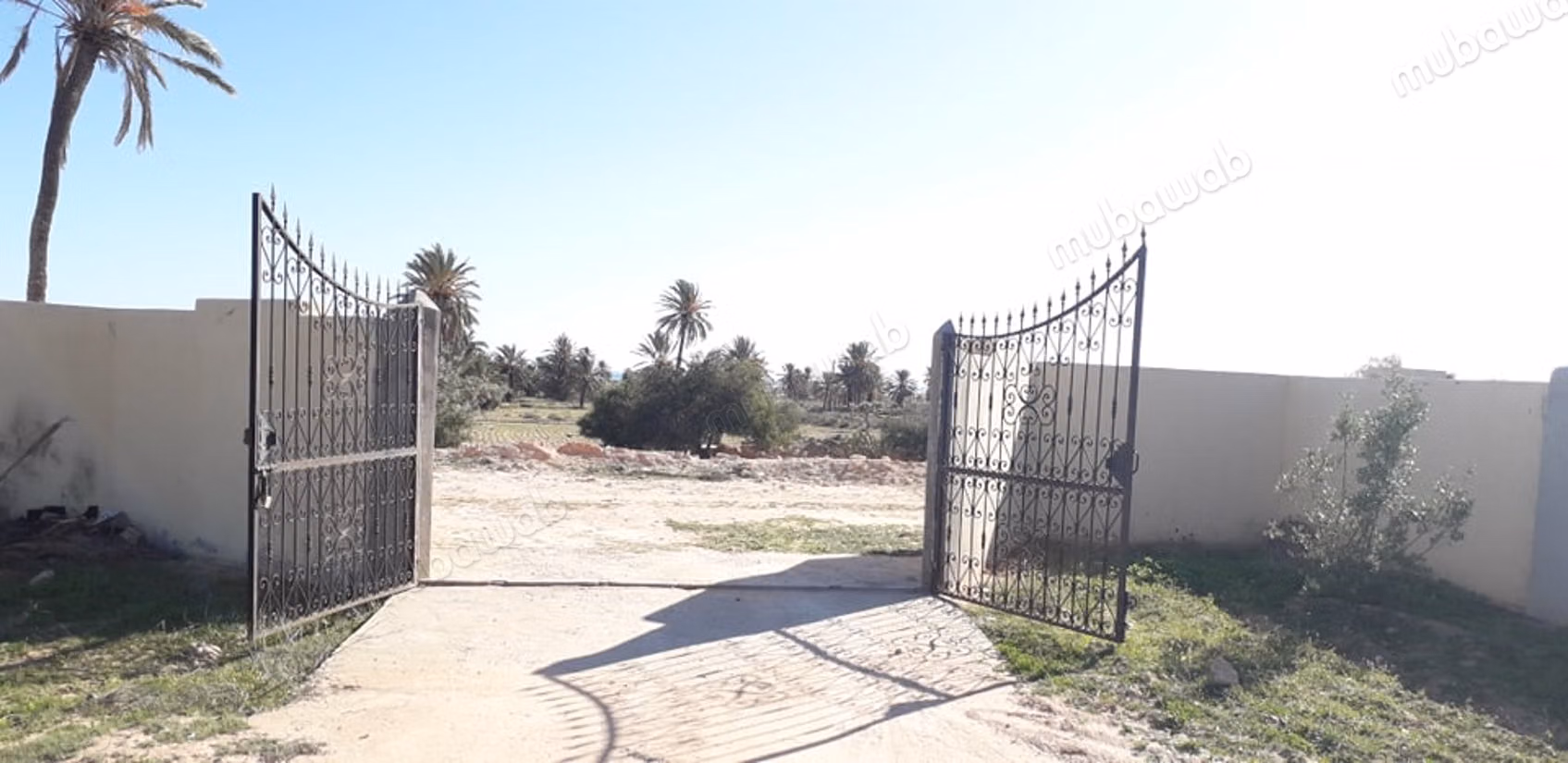 Grand Terrain Vue sur mer 
Aghir 
Djerba