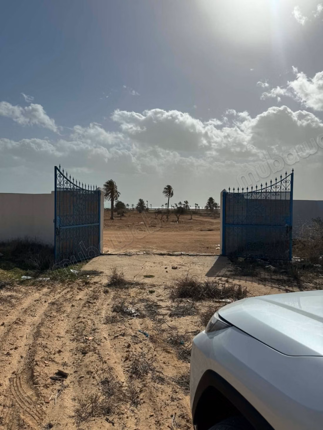 Grand Terrain Vue sur mer 
Aghir 
Djerba