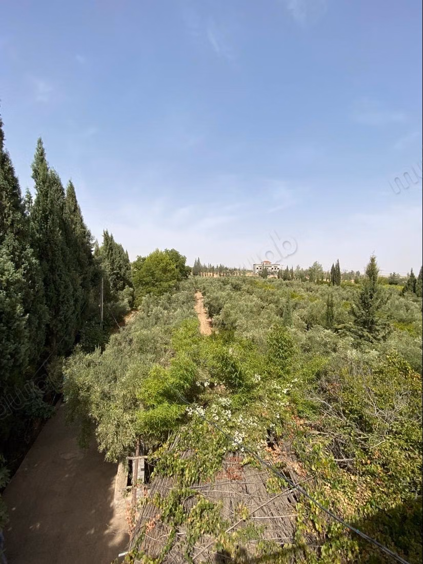Trouvez votre ferme à acheter à Route Amizmiz.
Surface totale 58450 m²