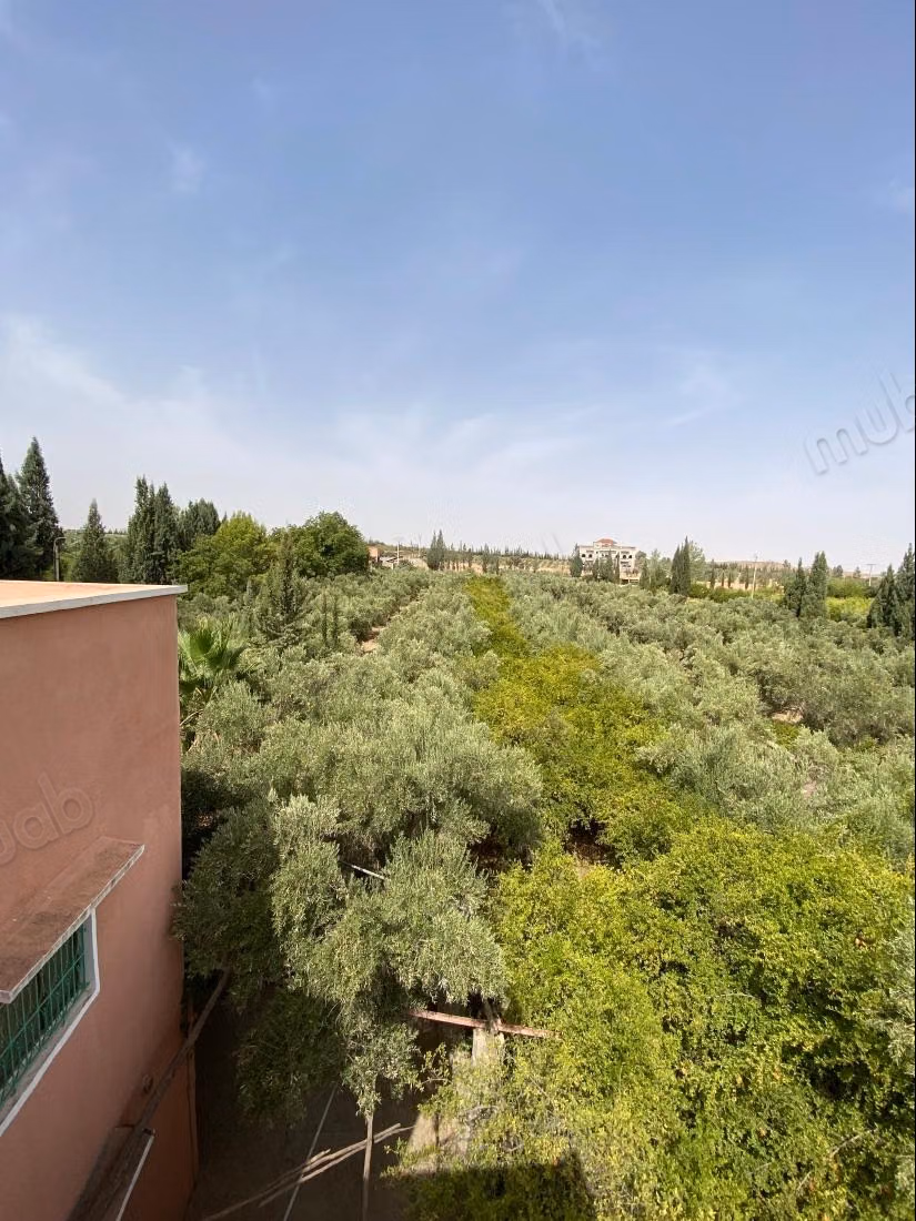Trouvez votre ferme à acheter à Route Amizmiz.
Surface totale 58450 m²